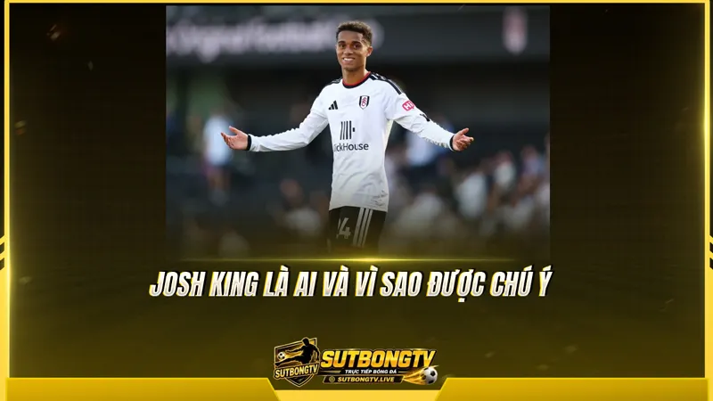 Josh King là ai và vì sao được chú ý